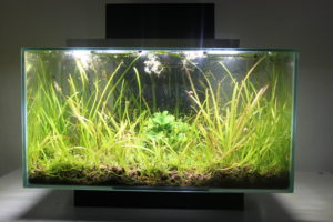Hagen Fluval Edge 1 Ersatzglasbecken Ersatzbecken 9