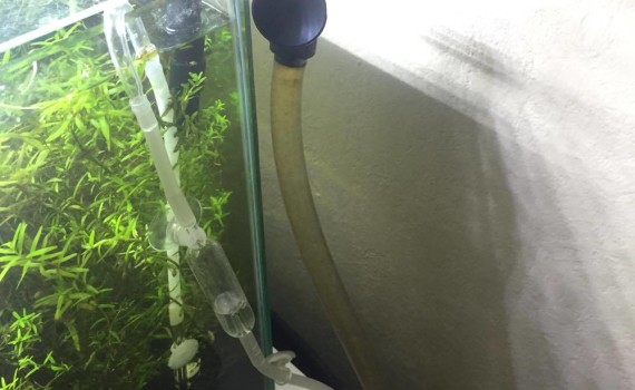 Welcher Aquariumschlauch ist der Richtige? 6 Welcher Aquariumschlauch ist der Richtige? 5