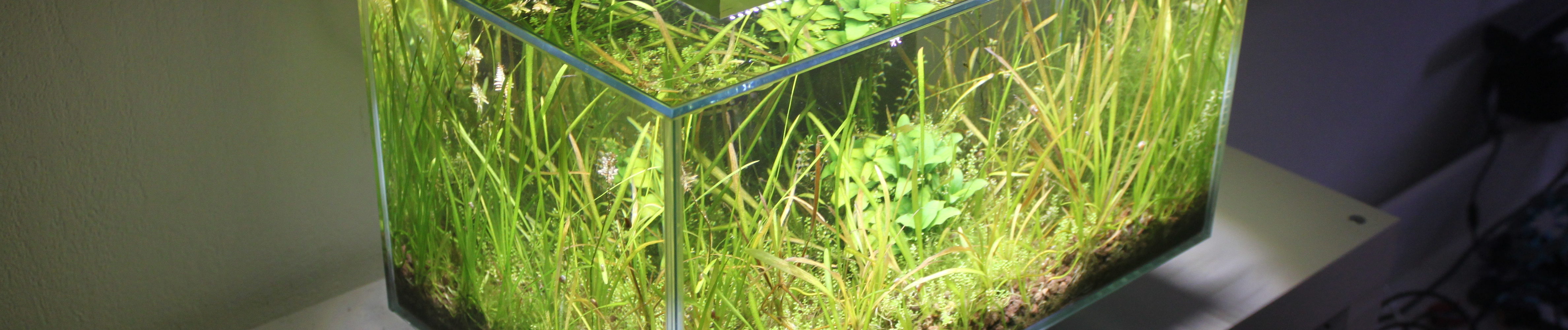 Hagen Fluval Edge Ersatzglasbecken Ersatzbecken Tank Aquarium Hagen Fluval Edge Ersatzglasbecken Ersatzbecken Tank Aquarium