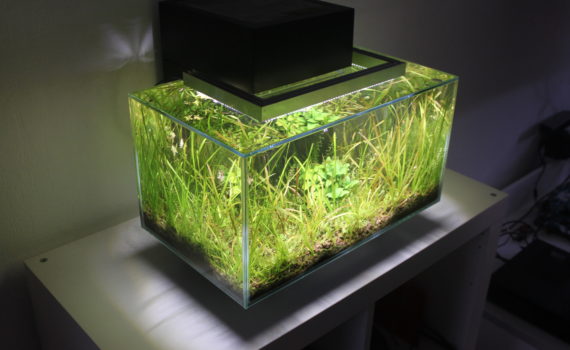 Hagen Fluval Edge 1 Ersatzglasbecken Ersatzbecken 7 Hagen Fluval Edge 1 Ersatzglasbecken Ersatzbecken 6