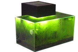 Hagen Fluval Edge Ersatzglasbecken Ersatzbecken Tank Aquarium Hagen Fluval Edge Ersatzglasbecken Ersatzbecken Tank Aquarium